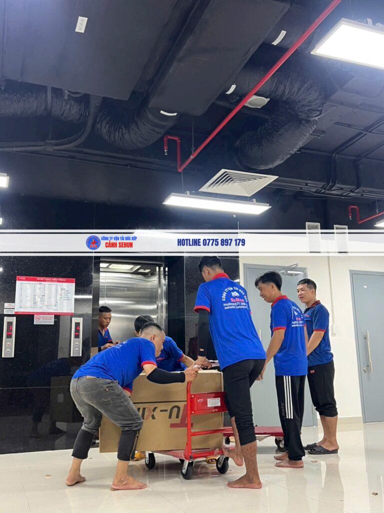  Bốc Xếp Hàng Hóa HCM Theo Từng Loại Hàng — Container, Nông Sản, Bán Lẻ