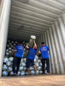 Dịch Vụ Bốc Xếp Biên Hòa Uy Tín, Có Mặt Nhanh